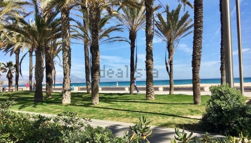 Revente - Appartement · Playa San Juan - Playa San Juan / Alicante 