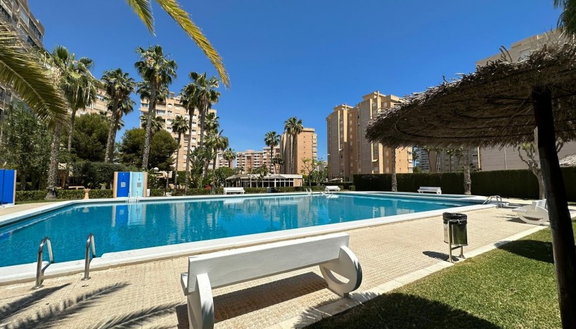 Appartement · Location à court terme · Playa San Juan - Playa San Juan / Alicante  · 3261