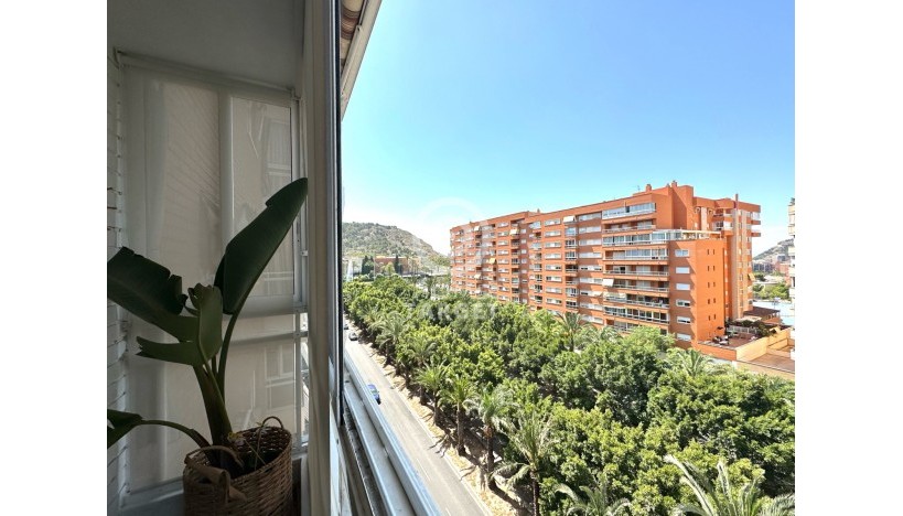 Resale - Apartments · Alicante