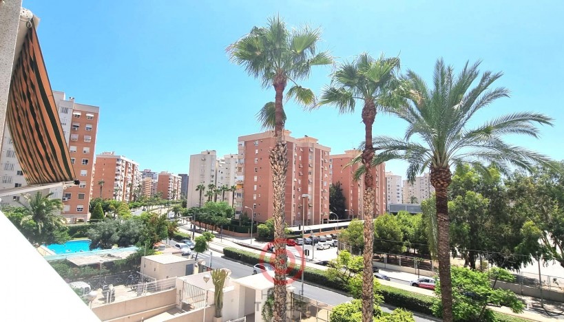 Odsprzedaż - Apartments · Playa San Juan - Playa San Juan / Alicante 
