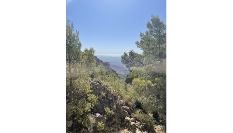 Nouvelle construction - Villas · Hondón de las Nieves