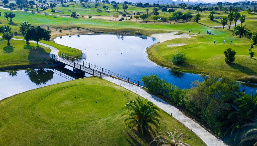 Nueva construcción  - Villas · Orihuela · Entrenaranjos