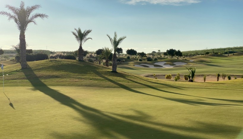 Nueva construcción  - Villas de lujo · Orihuela · Entrenaranjos