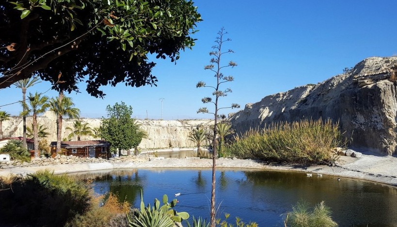 Nouvelle construction - Villas · San Miguel de Salinas