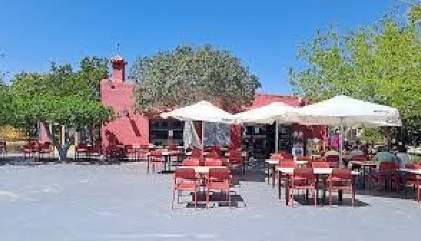 Nouvelle construction - Villas · San Miguel de Salinas