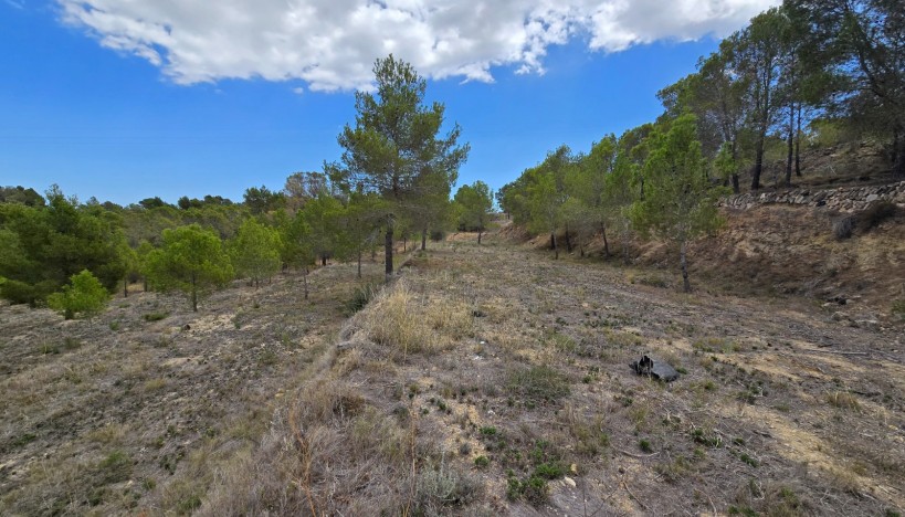 Odsprzedaż - Plots · La nucia