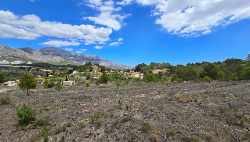 Odsprzedaż - Plots · La nucia