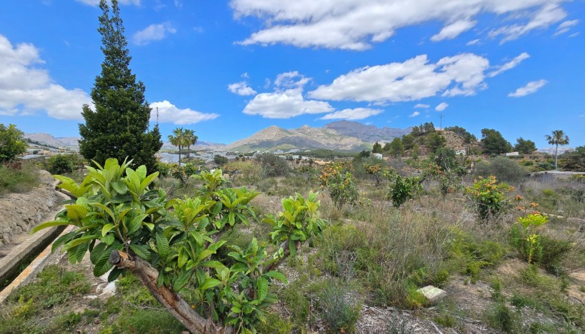 Odsprzedaż - Plots · La nucia