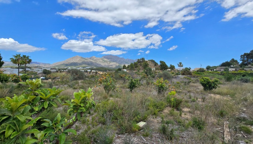 Odsprzedaż - Plots · La nucia