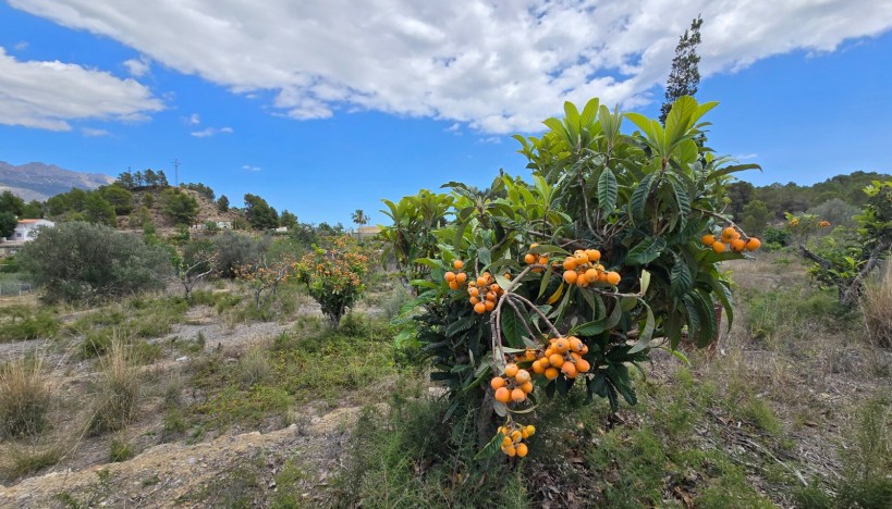 Odsprzedaż - Plots · La nucia