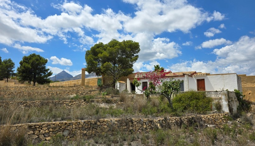 Odsprzedaż - Plots · La nucia