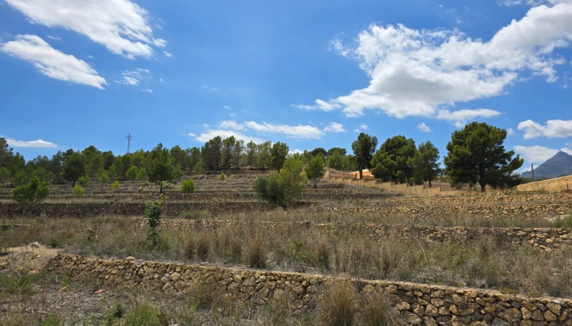 Odsprzedaż - Plots · La nucia