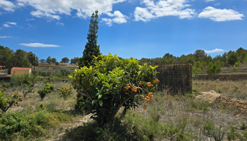 Odsprzedaż - Plots · La nucia