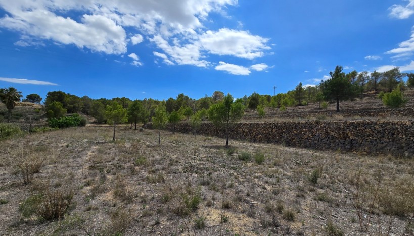 Odsprzedaż - Plots · La nucia