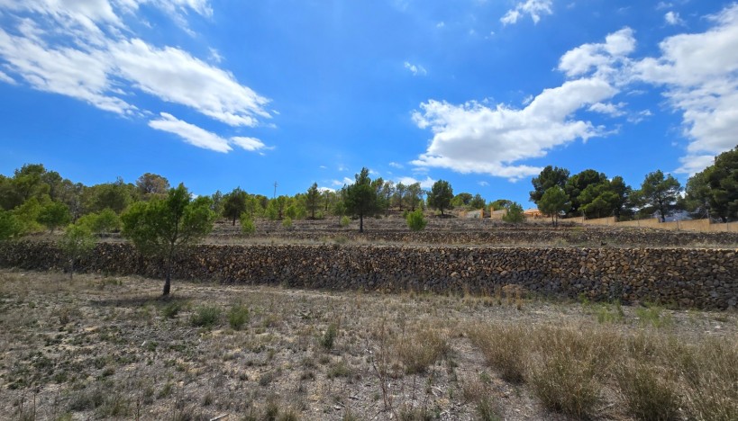 Odsprzedaż - Plots · La nucia