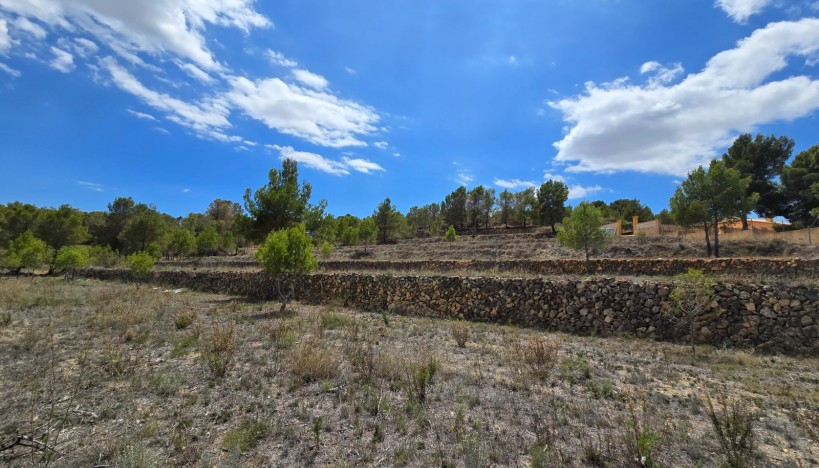 Odsprzedaż - Plots · La nucia