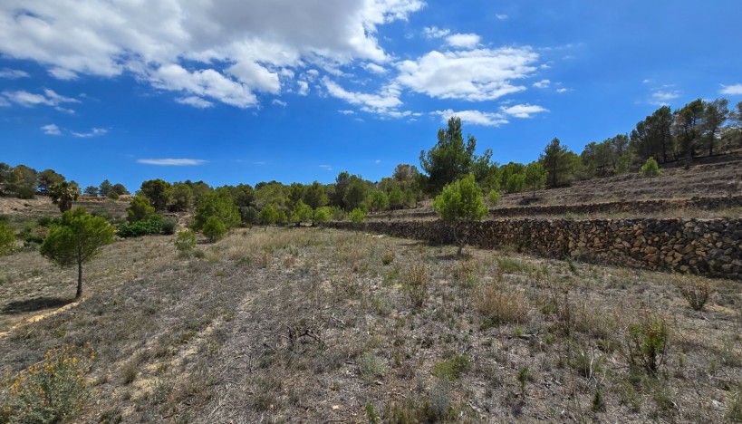 Odsprzedaż - Plots · La nucia