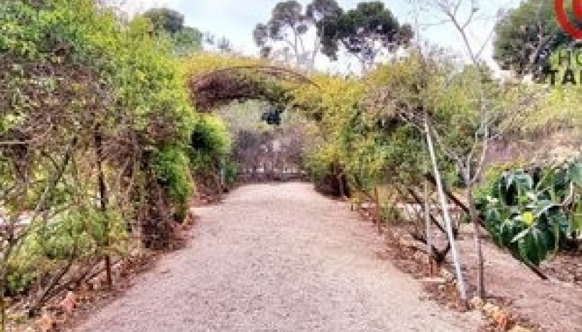 Resale - Luxury Villas · San Juan de Alicante