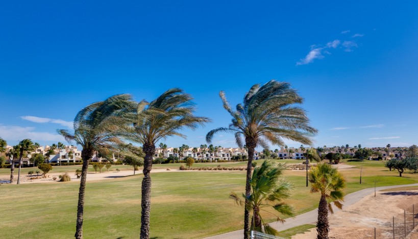 New Build - villa · Pilar de la Horadada