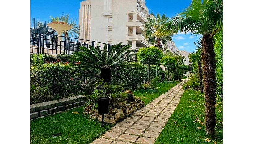 Long Term Rental - Flats · Playa San Juan - Playa San Juan / Alicante 