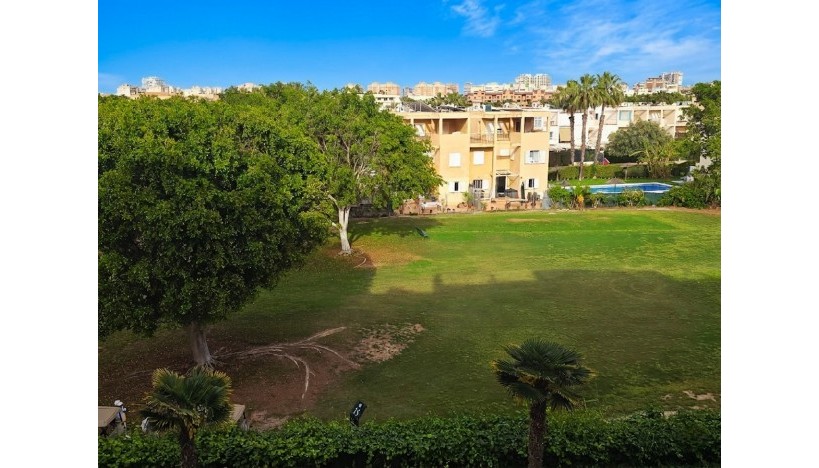 Long Term Rental - Flats · Playa San Juan - Playa San Juan / Alicante 